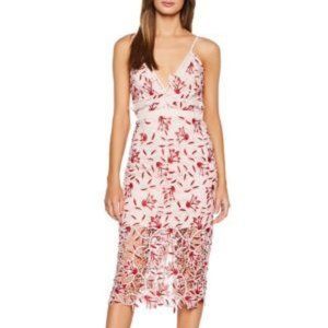 Bardot Coco Lace Sheath Dress - XS
